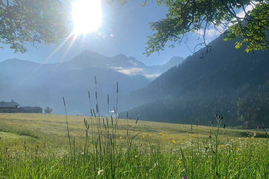 Sommerurlaub im Kleinwalsertal bedeutet unendliche Freiheit anstelle von Sardinen am Strand