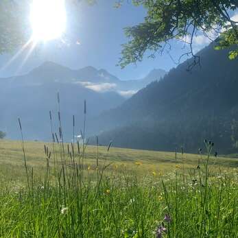 Der Rosenhof als Ausgangspunkt für Wanderungen in den Bergen.