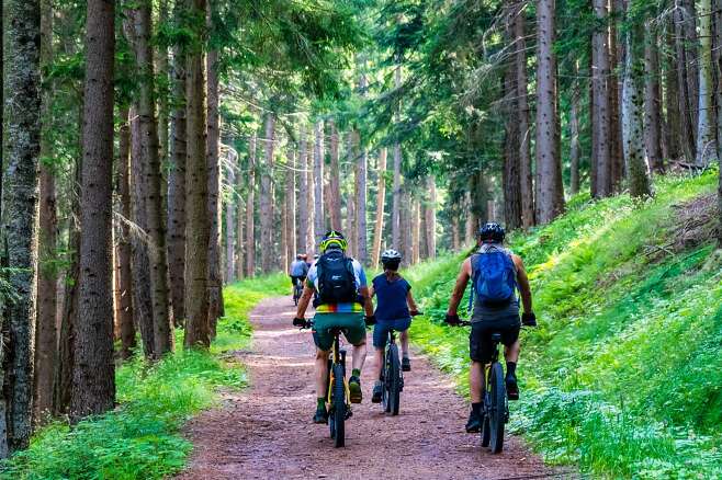 Fahrradtour durch den Wald im Kleinwalsertal