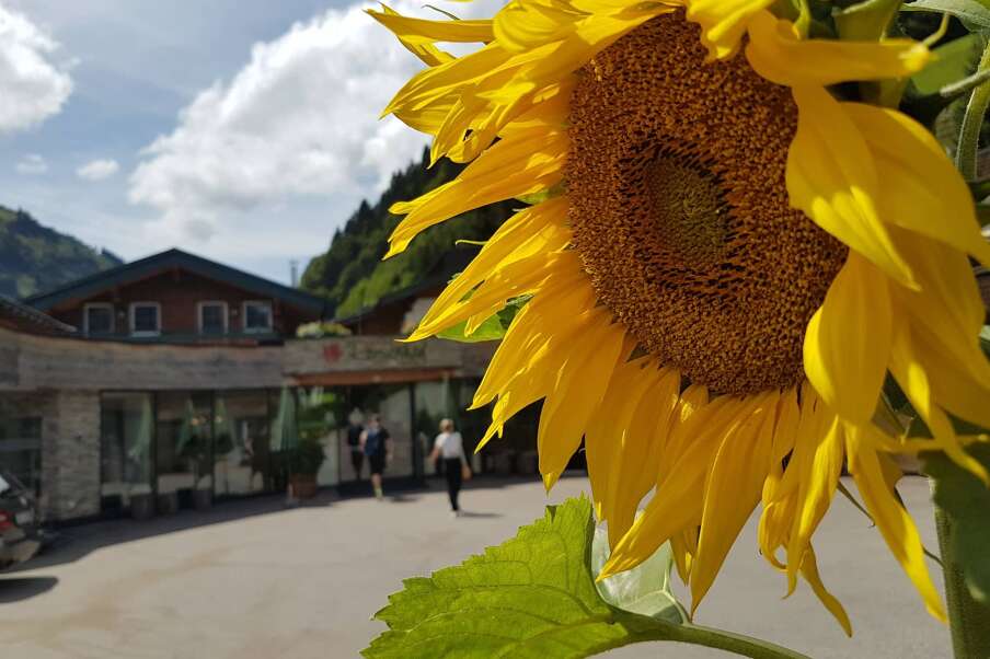 Hotel oder Ferienwohnung? Im Rosenhof bekommt Ihr beides!