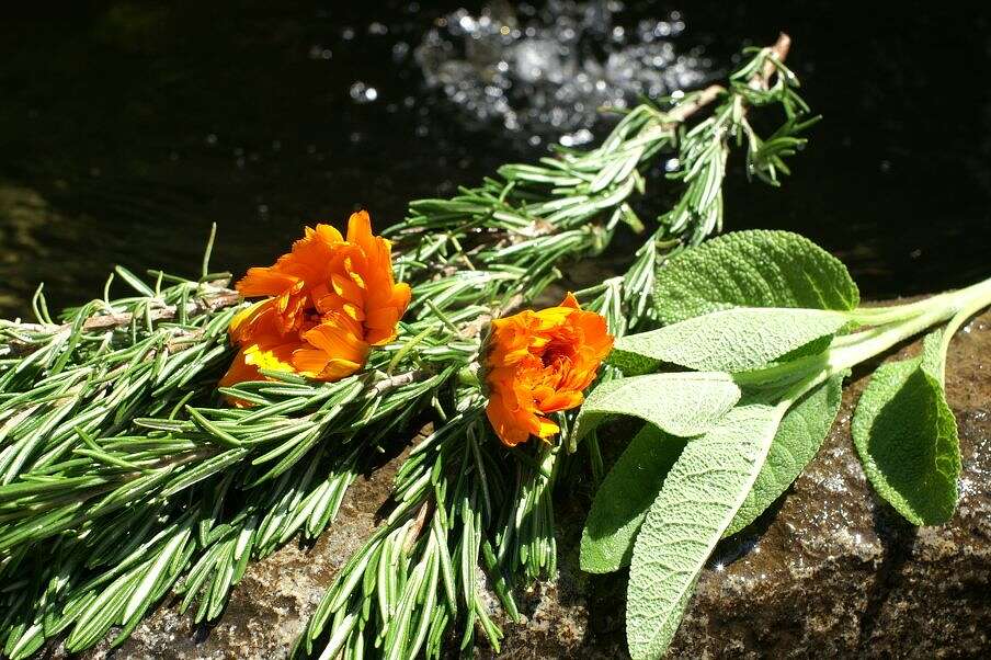 Leckere Gewürze, die im Kleinwalsertal heimisch sind, runden unsere Heimatgerichte ab.